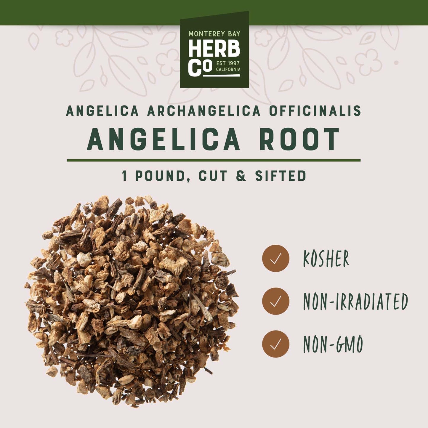 Angelica Root | Angel of Herbs Divine Feminine Healing.