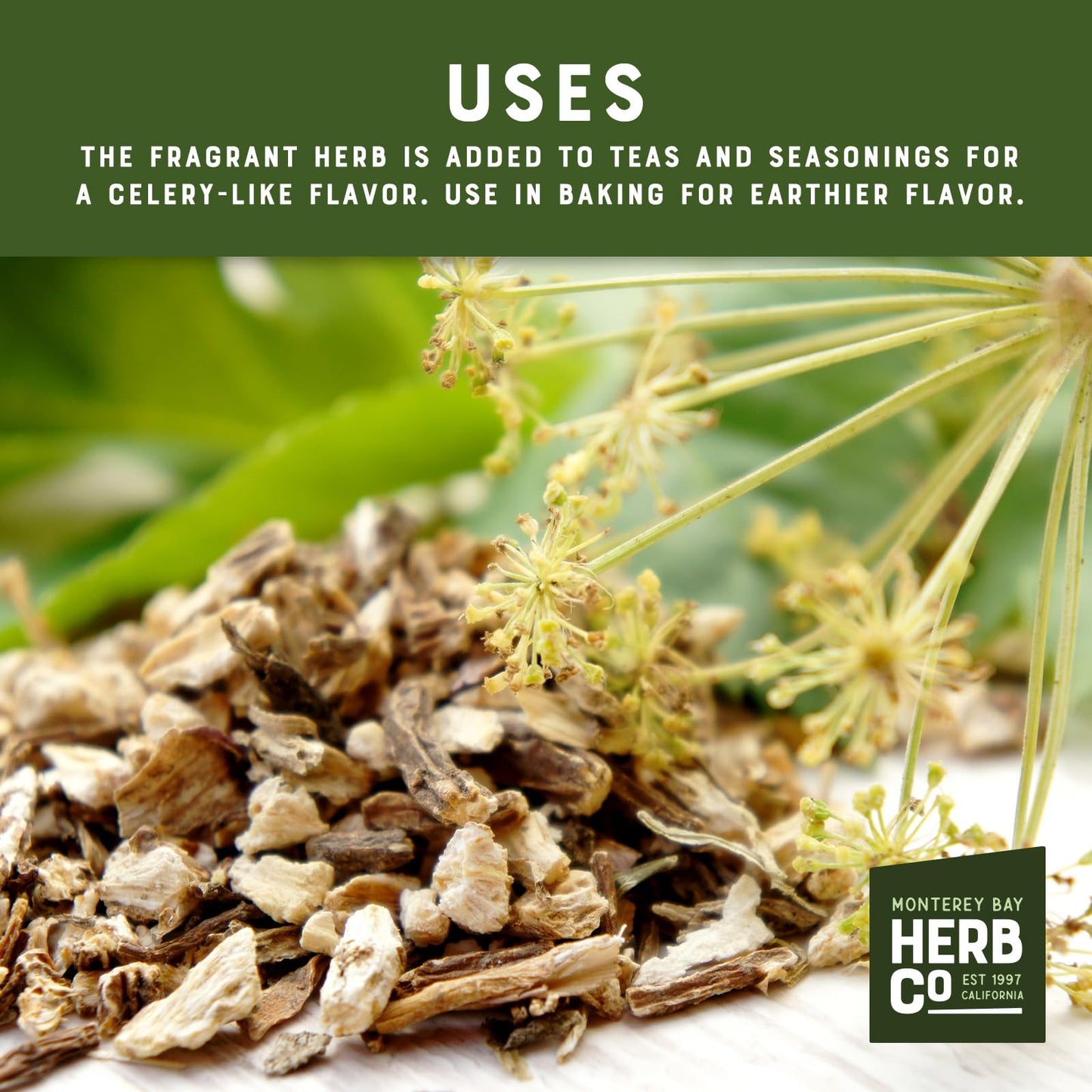 Angelica Root | Angel of Herbs Divine Feminine Healing.