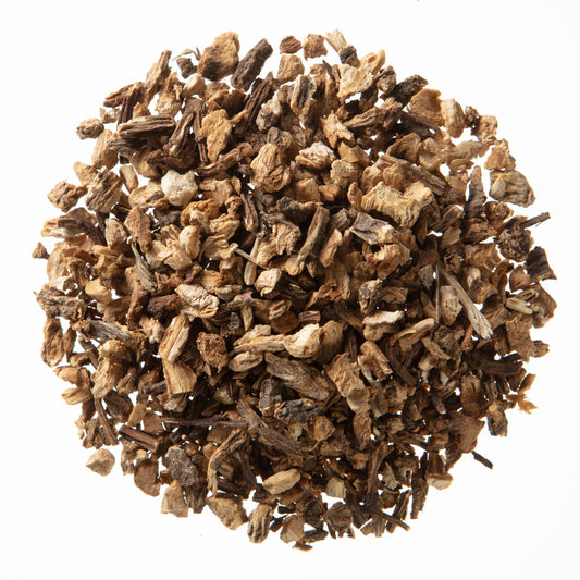 Angelica Root | Angel of Herbs Divine Feminine Healing.