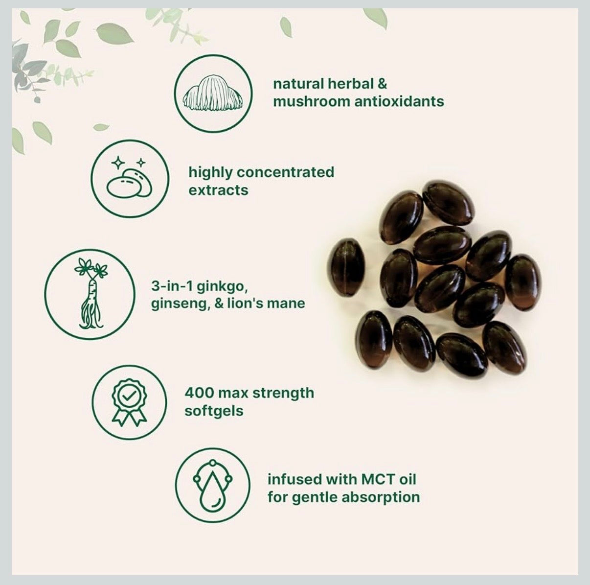 Ginkgo Biloba with Ginseng