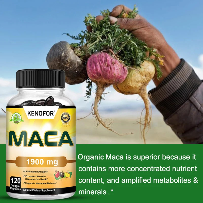 Organic Maca Root Capsules For Men & Women Non Gmo Pure Peru Maca Root Extract Black Red Yellow Supports Natural Energy, Boost Libido, Increases Fertility