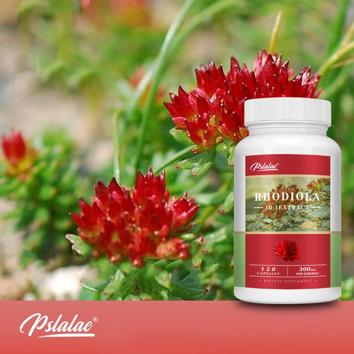 Rhodiola Capsules - Super Adaptogen Helps Relieve Stress, and Healthy Brain & Mood Regulation - 120 Capsules