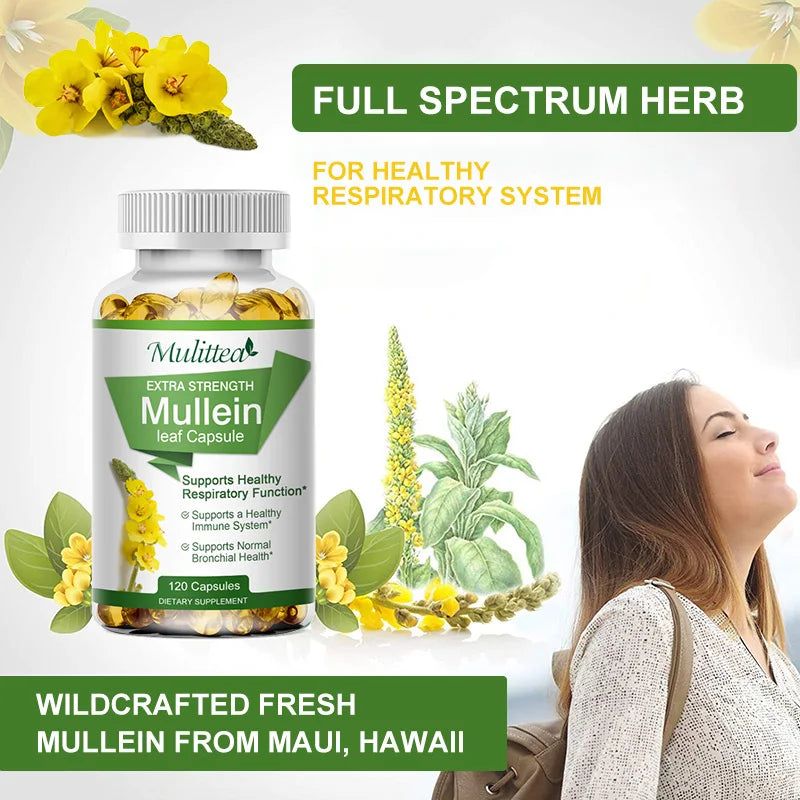 Mullein Leaf Capsules Herbal Supplement for Lung Cleanse Helps Healthy Respiratory Function & Mucous Membranes