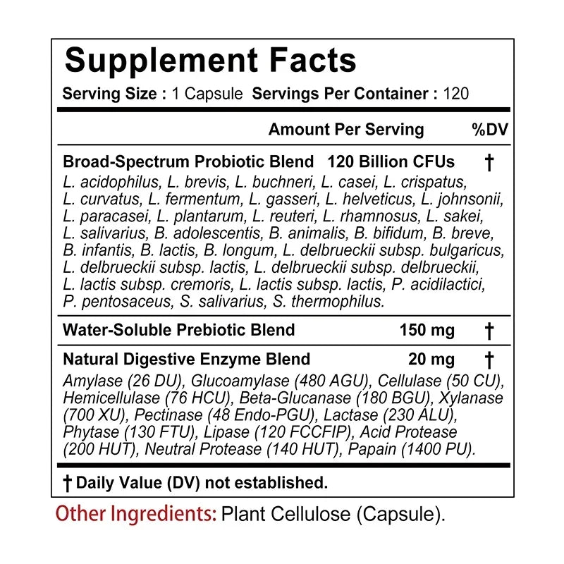 Probiotics + Digestive Enzymes - Improves Digestion and Immunity, Relieves Constipation, Intestinal Health - 120 Capsules