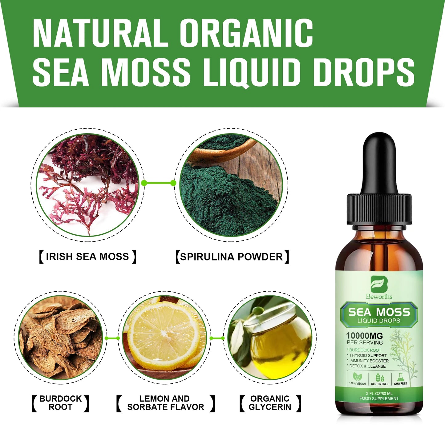 Sea Moss Liquid Drops Sea Moss Black Seed Oil Multimineral Seamoss Support Antioxidant, Immune, Thyroid Function & Gut Health
