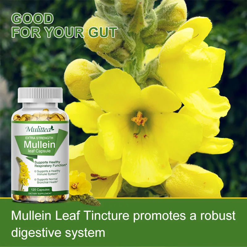 Mullein Leaf Capsules Herbal Supplement for Lung Cleanse Helps Healthy Respiratory Function & Mucous Membranes