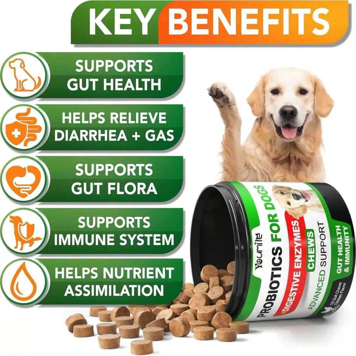 Probiotics for Dogs-  - Relieve stomach sensitivity and dog gut health probiotics - Digestive Remedies 120 Chews