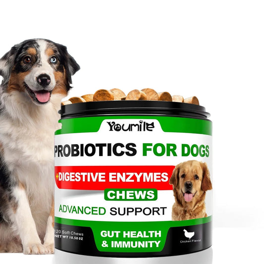Probiotics for Dogs-  - Relieve stomach sensitivity and dog gut health probiotics - Digestive Remedies 120 Chews
